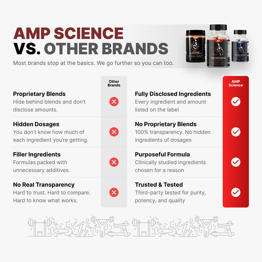 Amp Science® Testosterone Booster